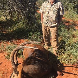 Hunting Sable Antelope in South Africa