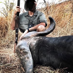 Zimbabwe Hunt Cape Buffalo