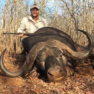 Hunt Cape Buffalo in Zimbabwe