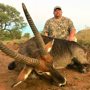 Hunting Waterbuck in South Africa