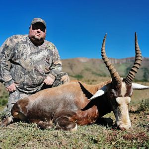 South Africa Hunt Blesbok