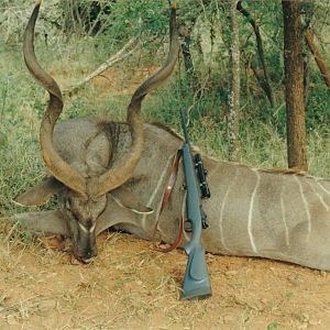 Hunting Kudu in South Africa