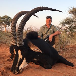 Sable Hunting South Africa