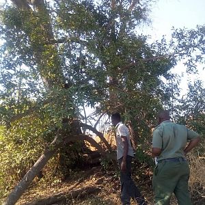 Aniti-poaching Patrol