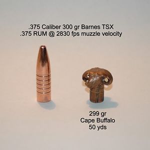 Bullet Performance