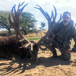 Hunt Red Stag in Argentina