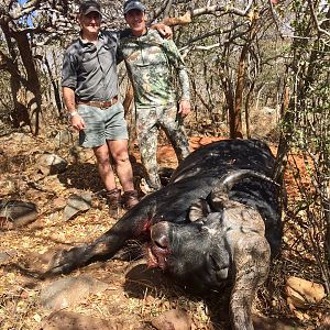 Hunting Cape Buffalo in South Africa