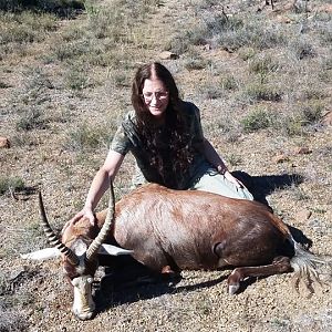 South Africa Hunt Blesbok