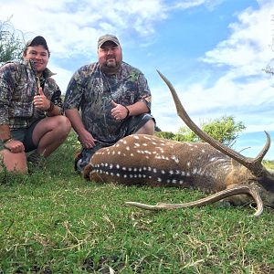 South Africa Hunting Axis Deer