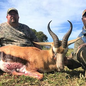 Springbok Hunt South Africa