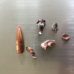 Hornady A-MAX .308 Win. Bullet Performance