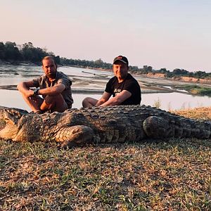 Crocodile Hunt Luangwa Valley Zambia
