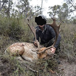 Hunting Fallow Deer in Australia