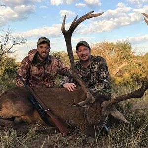 Argentina Hunt Red Stag