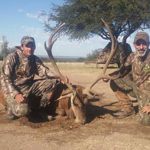 Hunt Red Stag in Argentina