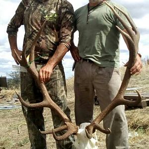 Argentina Hunting Red Stag