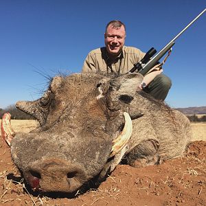 Warthog Hunting South Africa