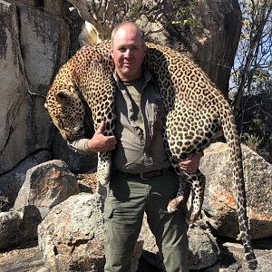 Hunting Leopard in Zimbabwe