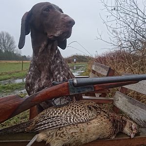 Bird Hunting Sweden