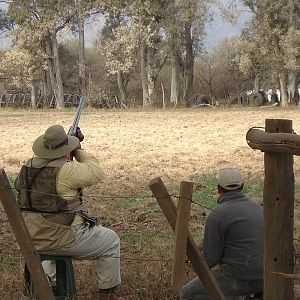 Argentina Wingshooting