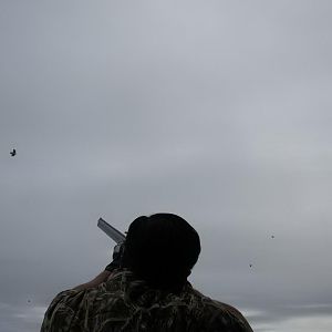 Dove Wingshooting Argentina