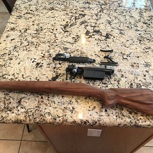 1917 Enfield Action (Sporterized) & Boyd's Stock