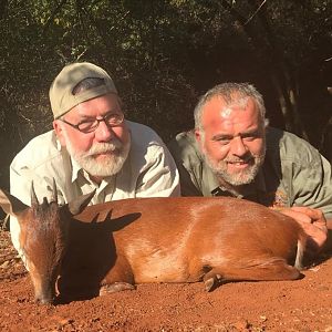 South Africa Hunt Red Duiker