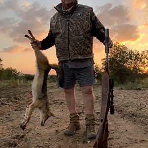 Hunting Jackal in South Africa