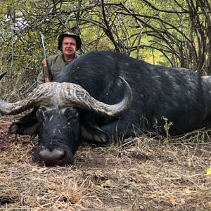 Hunting Cape Buffalo in Zimbabwe