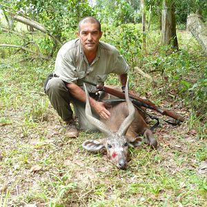 Gabon Hunting Gabonese Sitatunga