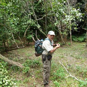 Hunt Gabonese Sitatunga in Gabon