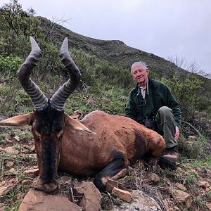 South Africa Hunting Red Hartebeest