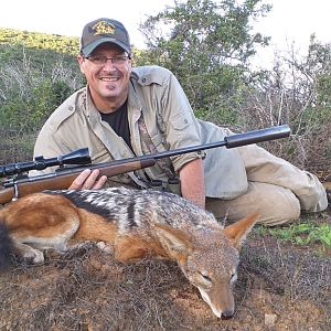 South Africa Hunting Jackal