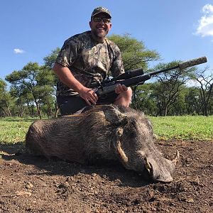 Warthog Hunt South Africa