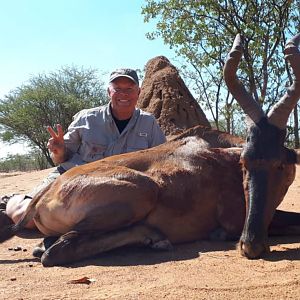 Hunt Red Hartebeest in Namibia