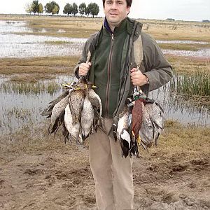 Duck & Geese Hunting Argentina