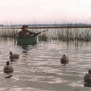 Hunting Duck & Geese in Argentina