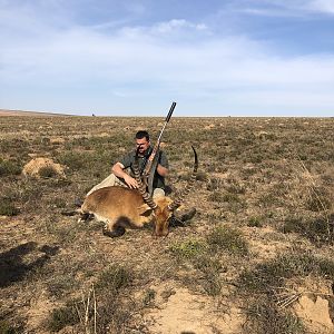 Red Lechwe Hunting South Africa