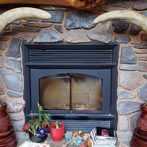 Replica Elephant Tusk Taxidermy