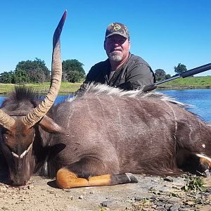 Hunting Nyala in South Africa