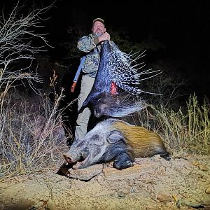 African Porcupine & Bushpig Hunt South Africa