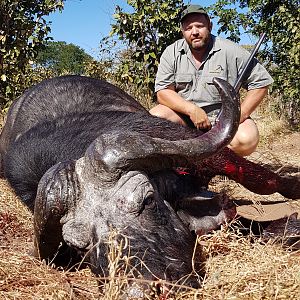 Hunting Buffalo in Namibia