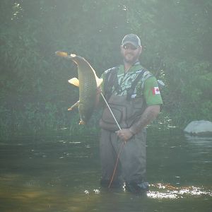 Bow Fishing Carp