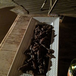 Some treats around the fire that night, Fried kudu liver