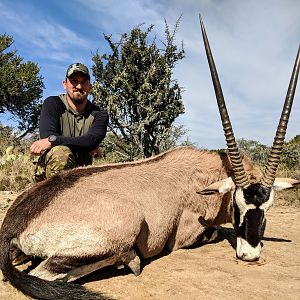 Gemsbok Hunting South Africa