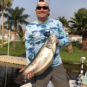 Clown featherback Fishing Florida USA