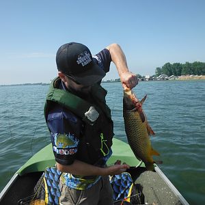 Bowfishing Carp Lake Erie