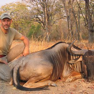 Hunt Cookson's Wildebeest in Zambia