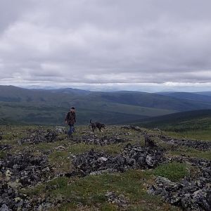 Caribou Hunting USA