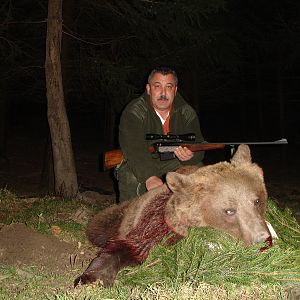 Brown Bear hunted in 2010 in Romania
